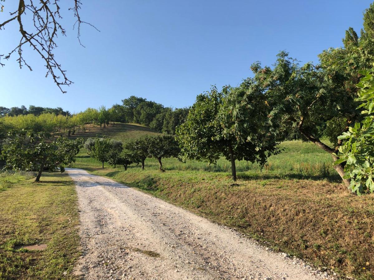 Dai Ventu Bed and Breakfast Pesaro Eksteriør billede